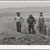 Members of the FSA cooperative ditcher. Box Elder County, Utah