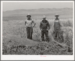 Members of the FSA cooperative ditcher. Box Elder County, Utah
