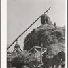 Stacking hay with Mormon hay stacker. Box Elder County, Utah