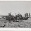 Old method of powering a combine by using several horses. Box Elder County, Utah