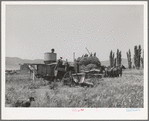 Old method of powering a combine by using several horses. Box Elder County, Utah