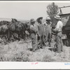 Mr. Thayne, FSA cooperative specialist, talking to the three Ericson brothers about forming a cooperative to buy a tractor to replace their horses. Box Elder County, Utah