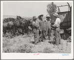 Mr. Thayne, FSA cooperative specialist, talking to the three Ericson brothers about forming a cooperative to buy a tractor to replace their horses. Box Elder County, Utah