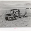 Ericson brothers' FSA cooperative tractor in action. Box Elder County, Utah