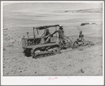 Ericson brothers' FSA cooperative tractor in action. Box Elder County, Utah