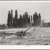 Threshing grain. Box Elder County, Utah