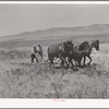 The first step in digging a ditch with a ditcher is to plow a furrow. Box Elder County, Utah