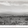 Over country similar to this Brigham Young looked when he said, "This is the place." Box Elder County, Utah