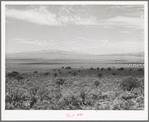 Over country similar to this Brigham Young looked when he said, "This is the place." Box Elder County, Utah