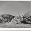 Threshing small grain. Box Elder County, Utah