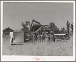 Members of FSA cooperative combine. Box Elder County, Utah