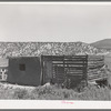 Chicken coop on Spanish-American farm. Chamisal, New Mexico