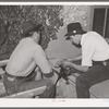 Spanish-American boy sharpening knife. Chamisal, New Mexico