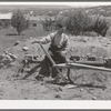 Spanish-American farmer with wooden plow which was used by his father. Chamisal, New Mexico