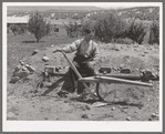 Spanish-American farmer with wooden plow which was used by his father. Chamisal, New Mexico