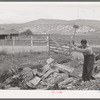 Spanish-American farmer chopping wood. Supply of wood is easily available in the nearby forest. Chamisal, New Mexico