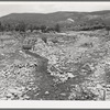 Creek with diversional channel to irrigation ditch on the left, Chamisal. New Mexico