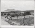 Corral and horse barn. Costilla, New Mexico