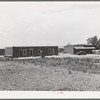 Adobe house with small patch of corn. Costilla, New Mexico