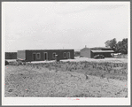 Adobe house with small patch of corn. Costilla, New Mexico