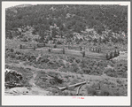 Corral on farm of Spanish-American. Amalia, New Mexico