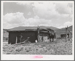 Barn, Spanish-American farm. Amalia, New Mexico