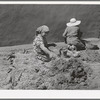 Spanish-American women making plaster of straw and mud to replaster house. Chamisal, New Mexico