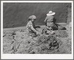 Spanish-American women making plaster of straw and mud to replaster house. Chamisal, New Mexico