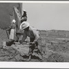 Mixing plaster for house, Chamisal, New Mexico. Occasionally a man helps with the hard work of mixing plaster but the women never allow the men to help with the actual plastering of the house