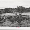 Irrigated Spanish-American farm. Amalia, New Mexico