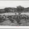 Irrigated Spanish-American farm. Amalia, New Mexico