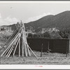 Poles used for vigas (roof construction) and adobe house under construction. Amalia, New Mexico