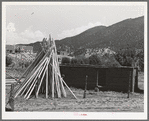 Poles used for vigas (roof construction) and adobe house under construction. Amalia, New Mexico