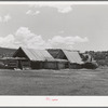 Hay barns of Spanish-American farmer at Llano, New Mexico