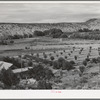 Orchard of farmer at Dixon, New Mexico