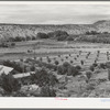 Orchard of farmer at Dixon, New Mexico