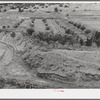 Garden and orchard of Spanish-American farmer. Notice revetment at left to prevent stream from cutting further into bank. Chamisal, New Mexico