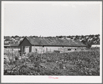 Large barn belonging to prosperous farmer. Penasco, New Mexico