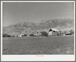 Hay barn on farm at foot of Wasatch Mountains. Box Elder County, Utah