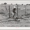 Mrs. Hutton irrigating her garden. Pie Town, New Mexico