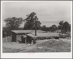 Back of dugout of Jack Whinery. To the front can be added above-ground rooms. Pie Town, New Mexico