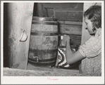 Mrs. Whinery placing bucket of milk in cooling room. Pie Town, New Mexico