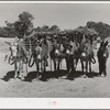 Burros and colt which are used for farm work on the homestead farm of Mr. Leatherman. Pie Town, New Mexico