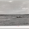 Rancher's home. Pie Town, New Mexico. Ten years ago there were no farmers in this section. It was completely given over to ranching