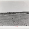Farming land. Pie Town, New Mexico