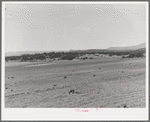 Farming land. Pie Town, New Mexico