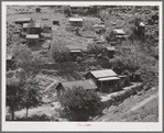 Houses of miners on side of hill at Mogollon, New Mexico