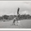 Clown rider at rodeo at Quemado, New Mexico