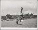 Clown rider at rodeo at Quemado, New Mexico