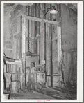 Goldminer pushing car of ore onto hoist. This is elevator to the surface from the 750-feet level. Mogollon, New Mexico